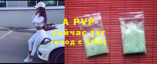 дживик Белокуриха