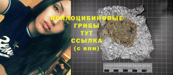 дживик Белокуриха