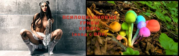 трава Белоозёрский