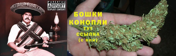 дживик Белокуриха
